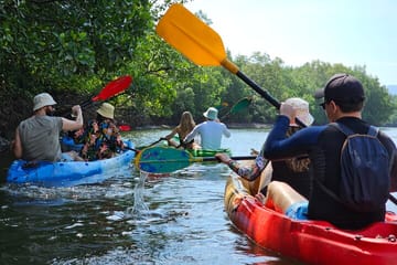 Kayaking or Longtail Boat Tour of Ko Lanta Yai Mangroves