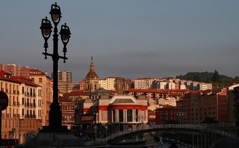 Bilbao Architecture and Culture Tour: Guggenheim and Old Town