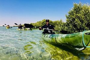 Mangrove 1-Hour Private Kayaking in Al Thakira Reserve