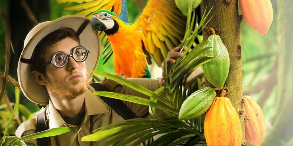 Chocolate workshop with factory tour