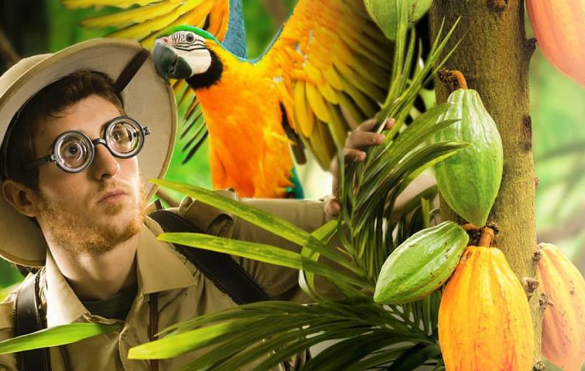 Factory tour with chocolate tasting