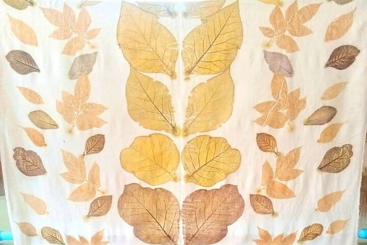 Koh Yao Native Touch & Thai cooking class