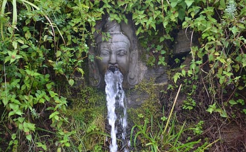 Shivapuri National Park Hiking Tour from Kathmandu