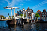 Haarlem in 1 Day - Walking Tour - Audioguide in 7 languages 4