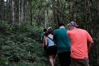 Mount Merapi: A Serene Soft Trek Through Botanic Villages Tour 8