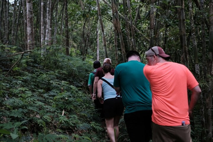 Mount Merapi: A Serene Soft Trek Through Botanic Villages Tour 8