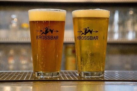 Santiago Pub and Bar Tour: Taste Terremoto, Pisco, and Artisan Beers