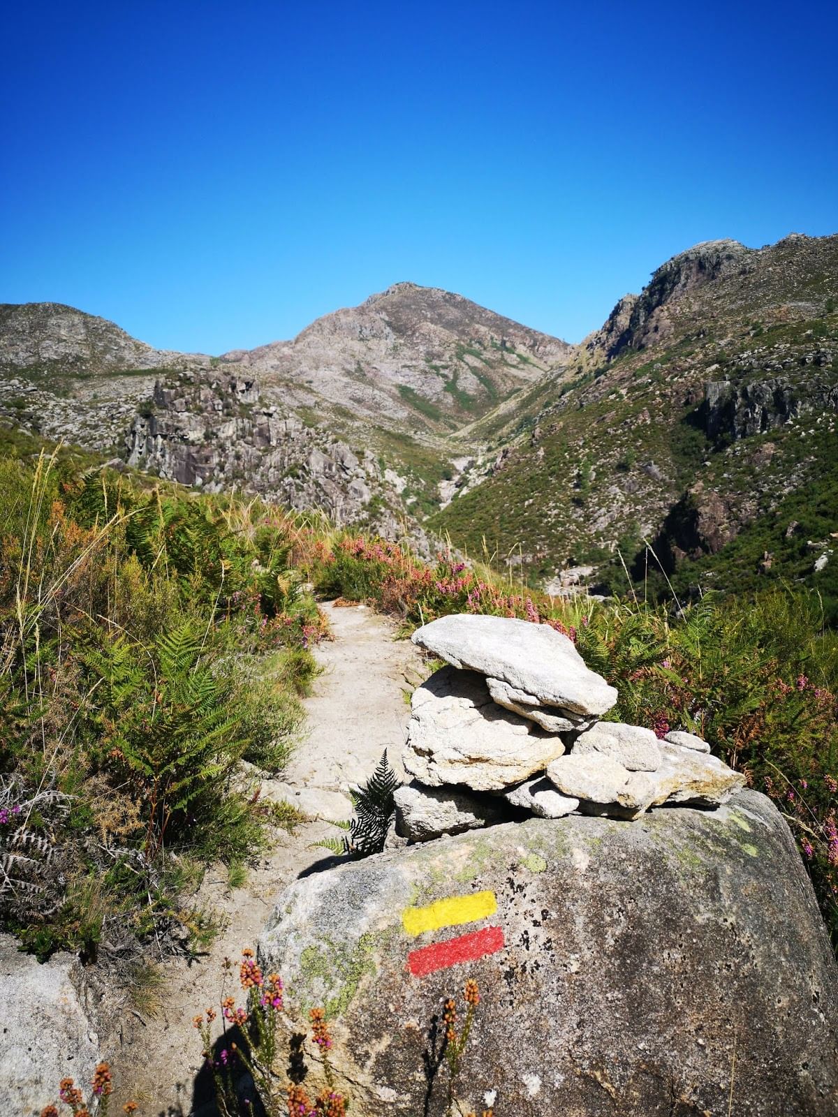 The entire trail is visible and well marked, providing a safe and pleaseant experience.