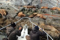 Beagle Channel Yacht Sailing Tour from Ushuaia 7