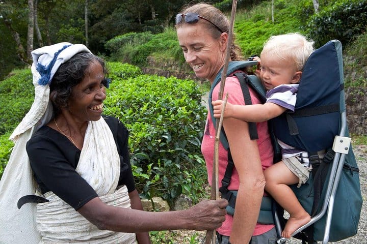 Kandy & Nuwara Eliya | 2 Days Tour