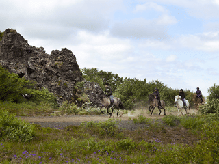 Horse Riding & Caving From Reykjavík, photo 8