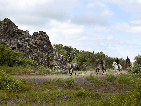 Horse Riding & Caving From Reykjavík, photo 8