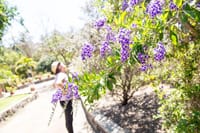 Maspalomas Botanic Garden
