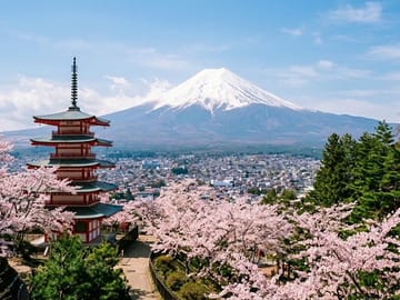 Mt. Fuji,Saiko Iyashi-no-Sato Nenba&Kawaguchi Lake