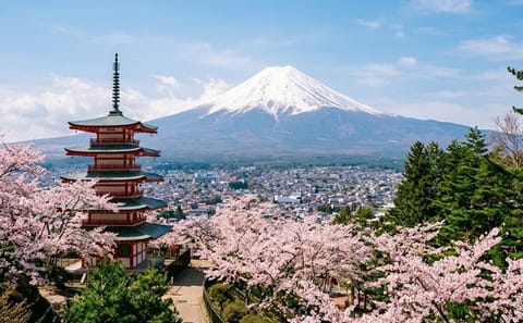 Mt. Fuji,Saiko Iyashi-no-Sato Nenba&Kawaguchi Lake
