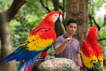 Manawakie Wildlife sanctuary and Macaw Market