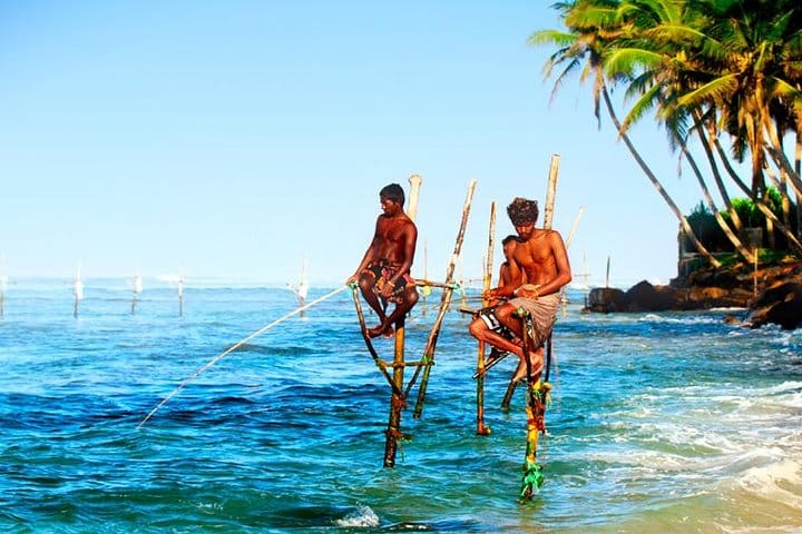 Stilt Fisherman