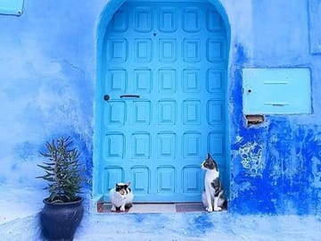 marrakech to chefchaouen tour
