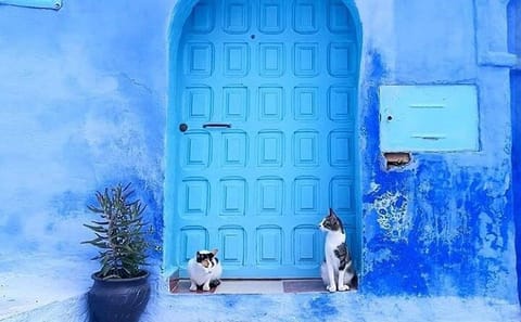 Marrakech To Chefchaouen blue city tours in 2 Days 1 night