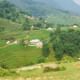 Sapa Real Experience 2 Days 1 Night at Local Family Homestay