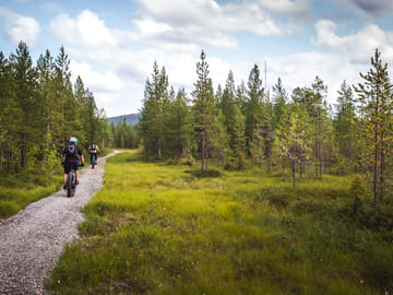 Explore Nature: Mountain Biking, Canoeing, and Hiking in Kemijärvi