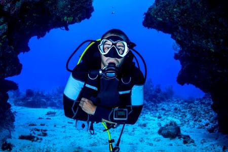 Par-06 : Scuba Diving in Paracas - Dive Discovery