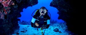 Par-06 : Scuba Diving in Paracas - Dive Discovery
