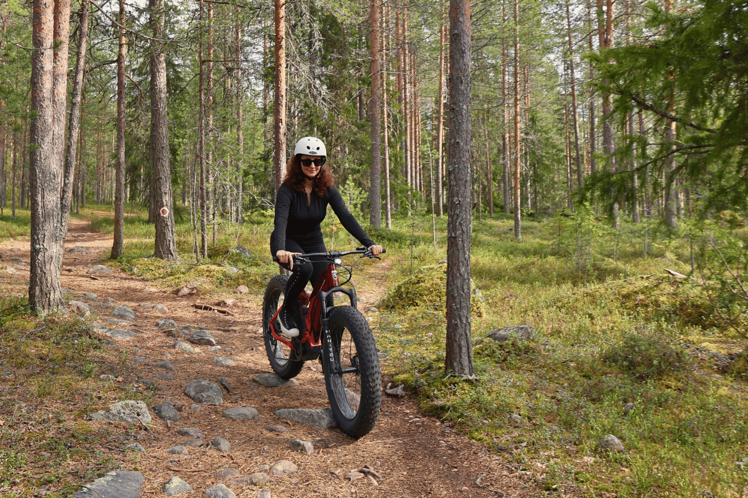 Guided E-Bike Adventure & Rental to King’s Hut