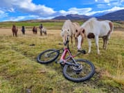 Taste of E-Mountain biking - Private 1hr Tour 1