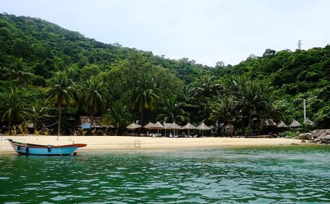 Snorkeling Tour of Cham Islands from Hoi An by Wooden Boat