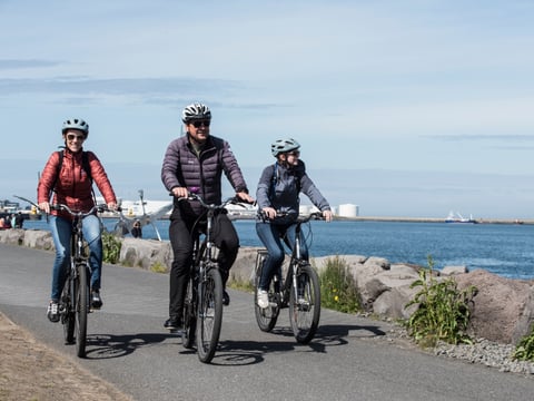 Coast of Reykjavik Private Bike Tour