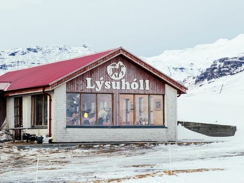 Snæfellsnes en español con almuerzo incluido en una granja en minibus, photo 3