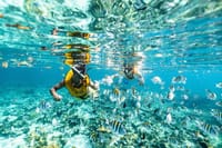 Cancun 5 in 1 Snorkeling Tour: MUSA, Shipwreck, Reefs & Cenotes 5