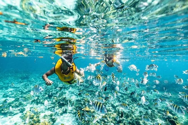 Cancun 5 in 1 Snorkeling Tour: MUSA, Shipwreck, Reefs & Cenotes photo 5