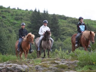 Lava Tour - Horseback Riding through the Lava Fields, photo 19