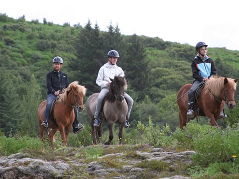 Lava Tour - Horseback Riding through the Lava Fields, photo 20