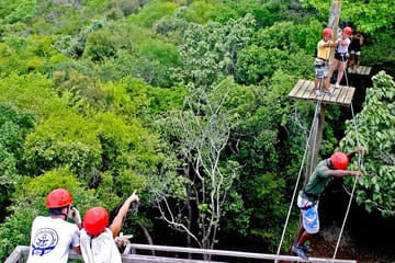 Kite Jeep Tour with Tree Canopy