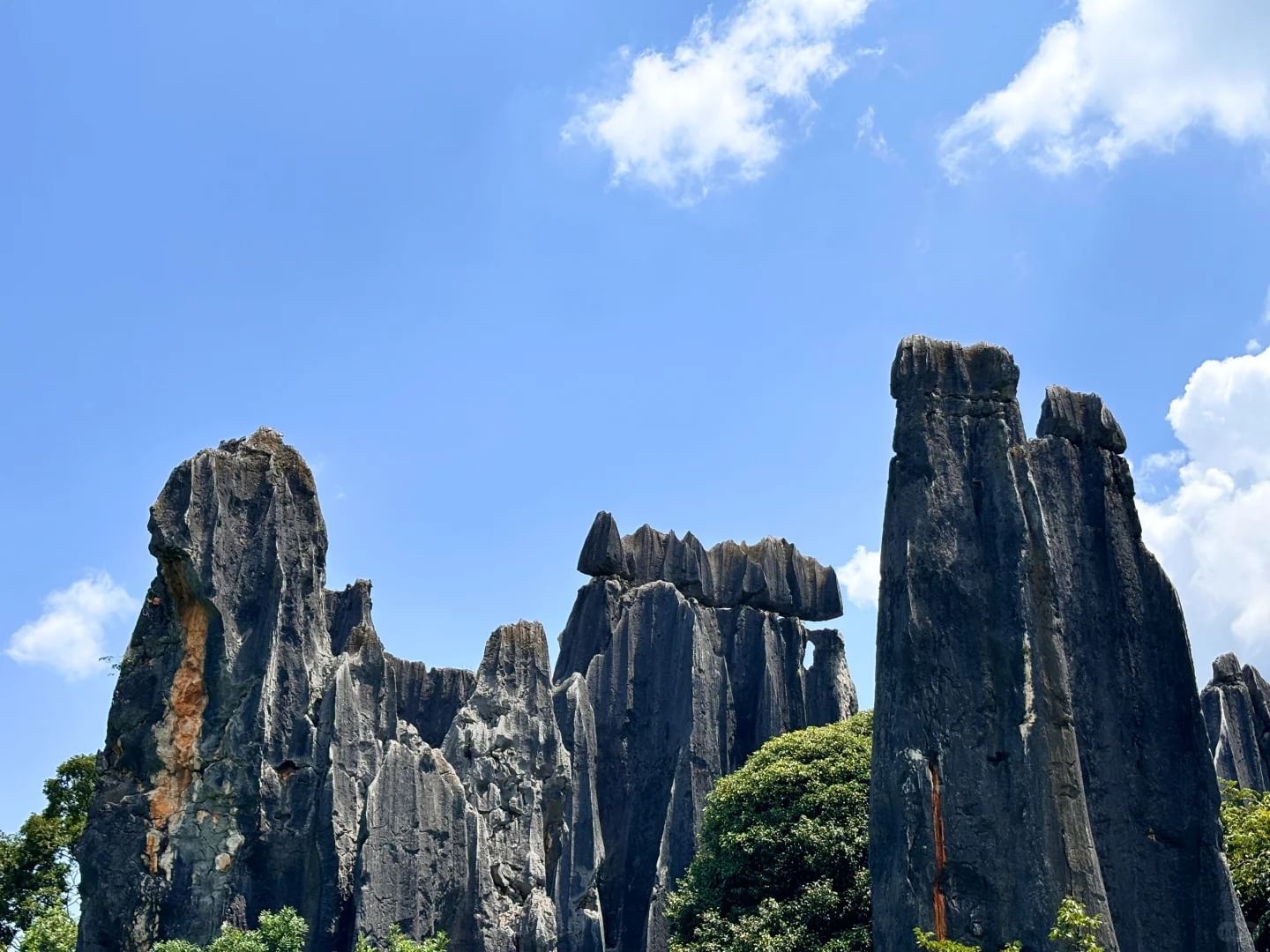 Karst landform stone forest 