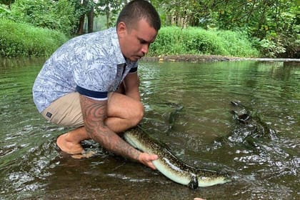 ALBERT TOURS :Excursion SAFARI 4×4 with private SWING view point