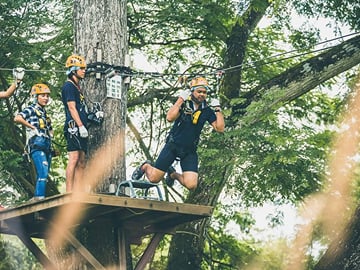 Zipline