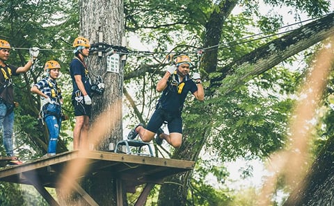 Phoenix Zipline Adventure Park Self-Guided High Ropes Course, Chiang Mai