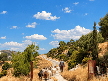 Get into the heart of rural Cyprus