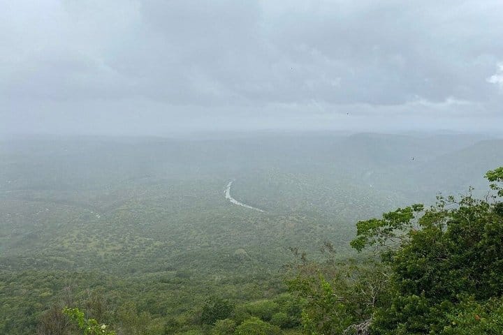 Shimba Hills National Reserve Day Tour with Sheldrick Falls