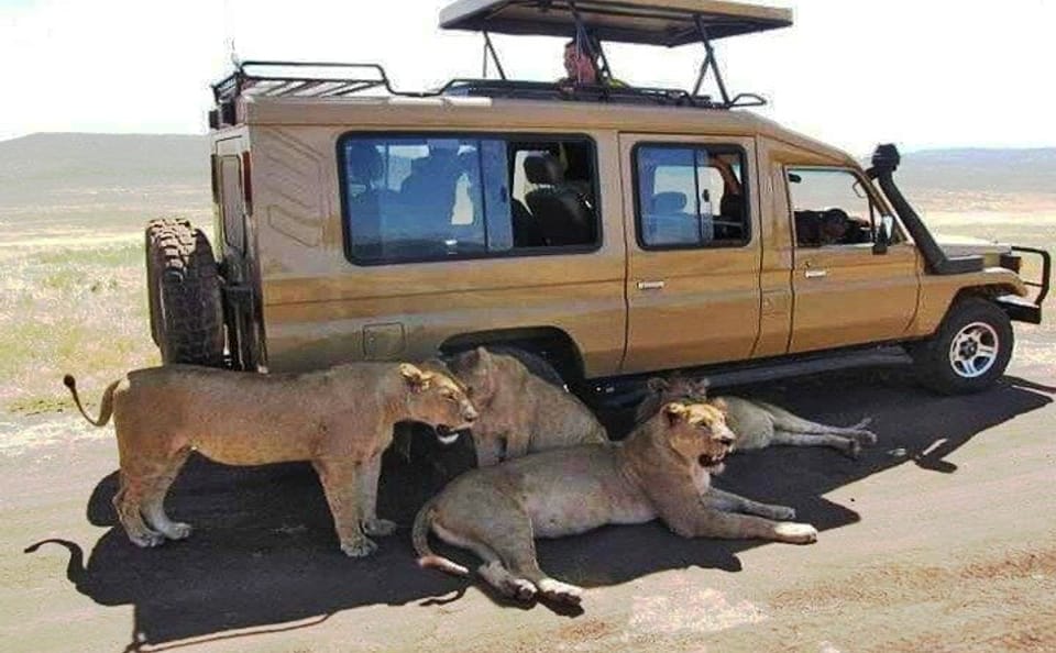 8 Days, 7 Nights Safari – Lake Nakuru, Maasai Mara, Naivasha and Amboseli Park