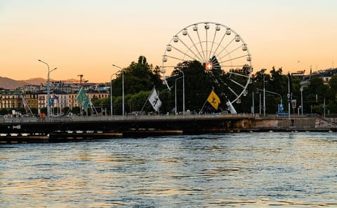 Private 5-Hour City Tour of Geneva, Switzerland