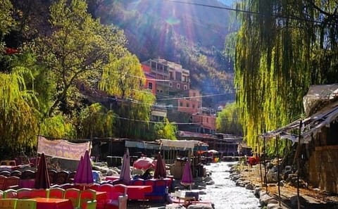 Ourika Valley Day Trip from Marrakech with Guided Tour