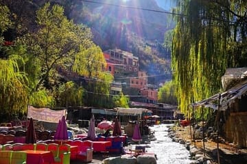 Ourika Valley Day Trip from Marrakech with Guided Tour