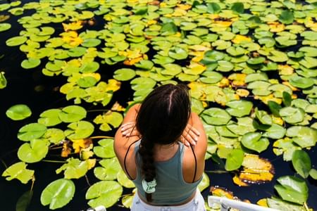 Private Sightseeing Lake Skadar Cruise and Crnojevića River