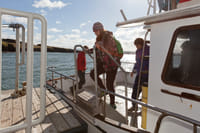 Viðey Ferry - from Skarfabakki 6