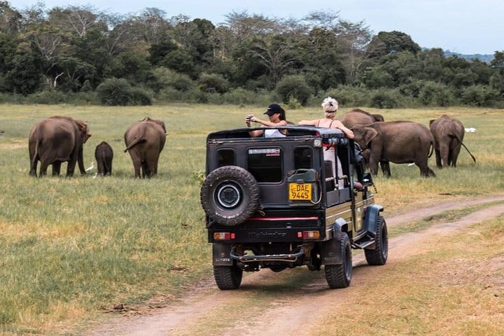 Highlights Of Sri Lanka | 5 Nights 6 Days